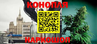прущие грибы Ипатово
